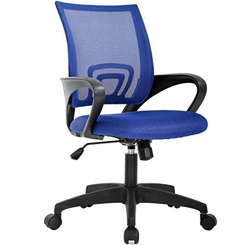 Ergonomic Mesh Office Chair with Adjustable Lumbar Support and Armrests - Furniture4Design