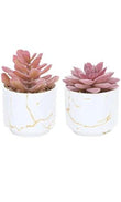 2 White Ceramic Pots Succulent Artificial Plants - Furniture4Design