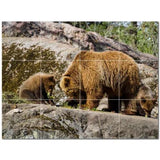 Bear Ceramic Tile Wall Mural PT500113. 24" W x 18" H (12) 6x6 tiles - Furniture4Design