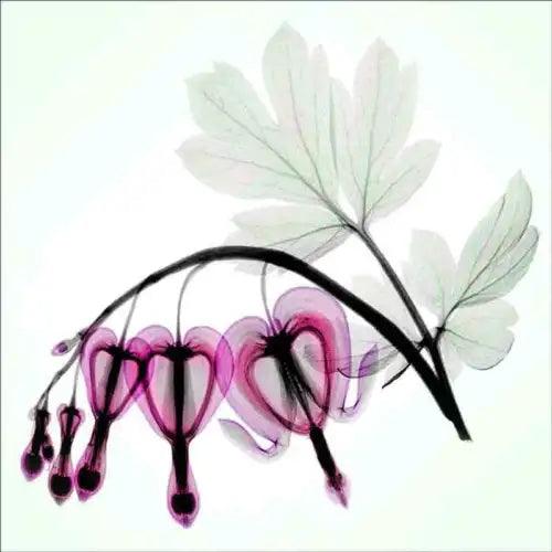 Bleeding Heart Accent & Decor Tile Hong Pham Floral Art OB-HP25aAT - Furniture4Design