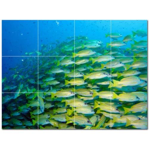 Coral Ceramic Tile Wall Mural PT500401. 48" W x 36" H (12) 12x12 tiles - Furniture4Design