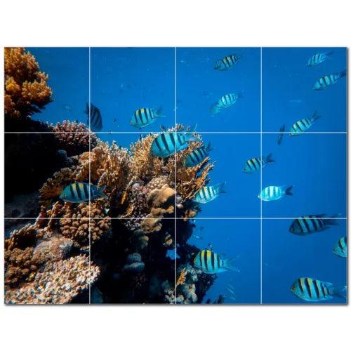 Coral Ceramic Tile Wall Mural PT500410. 48" W x 36" H (12) 12x12 tiles - Furniture4Design