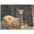 Deer Ceramic Tile Wall Mural PT500473. 24" W x 18" H (12) 6x6 tiles - Furniture4Design