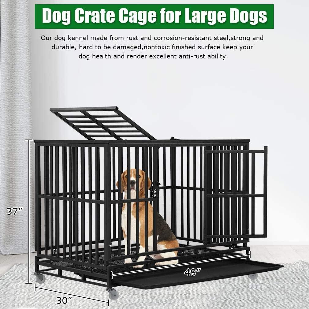 Dog cage design 2024 for large breed