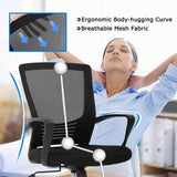 Ergonomic Mesh Executive Office Chair with Adjustable Lumbar Support and Swivel Rolling Base - Black - Furniture4Design