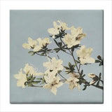 Japanese Azaleas Flower Floral Art Backsplash Ceramic Tile - Furniture4Design