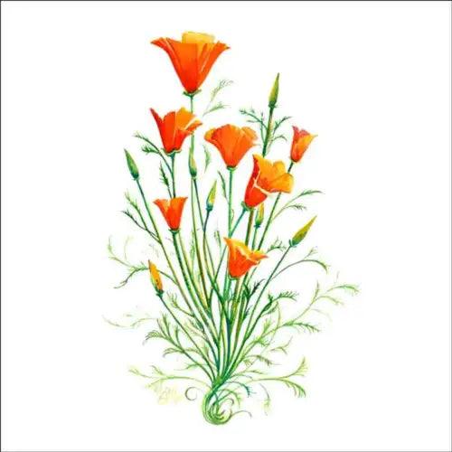 Poppy Accent & Decor Tile Susan Libby Floral Backsplash Art SLA042AT - Furniture4Design