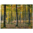 Trees Ceramic Tile Wall Mural PT501031. 32" W x 24" H (12) 8x8 tiles - Furniture4Design