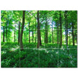 Trees Ceramic Tile Wall Mural PT501045. 32" W x 24" H (12) 8x8 tiles - Furniture4Design