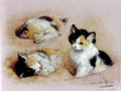 Waking Kitten H. Ronner-Knip cat pet Tile Mural Wall Backsplash Marble Ceramic - Furniture4Design